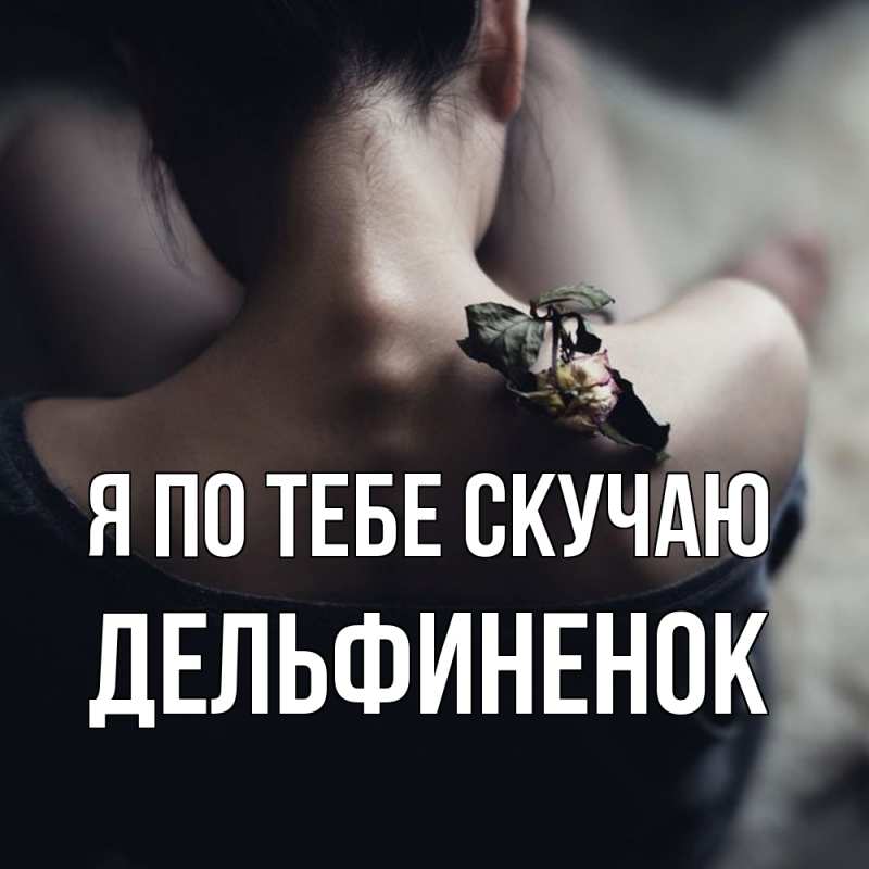 Картинка Я по тебе скучаю, дельфиненок