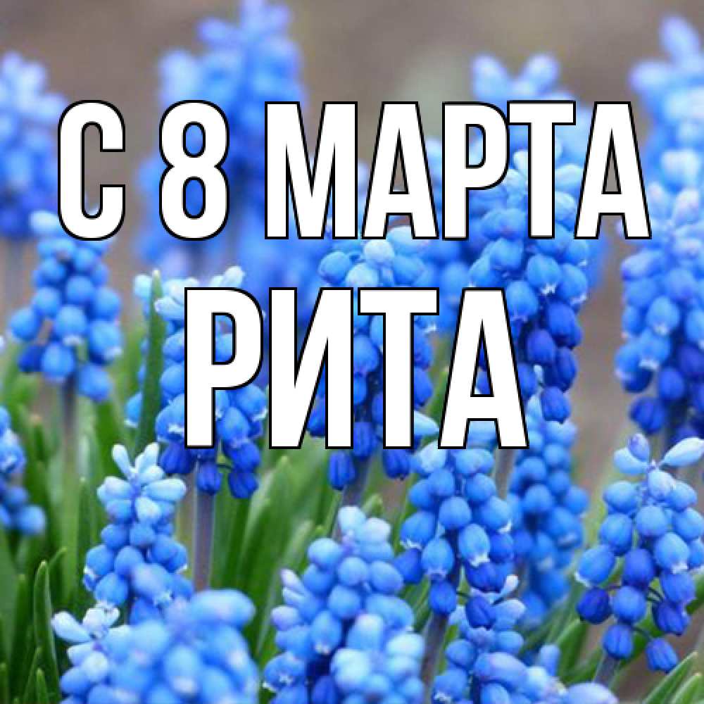 Открытка на каждый день с именем, Рита C 8 МАРТА Поздравительная открытка для женщин с цветами на праздничную дату Прикольная открытка с пожеланием онлайн скачать бесплатно 