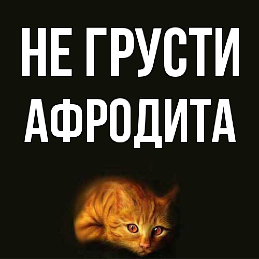 Открытка на каждый день с именем, Афродита Не грусти лежащий кот в темноте Прикольная открытка с пожеланием онлайн скачать бесплатно 