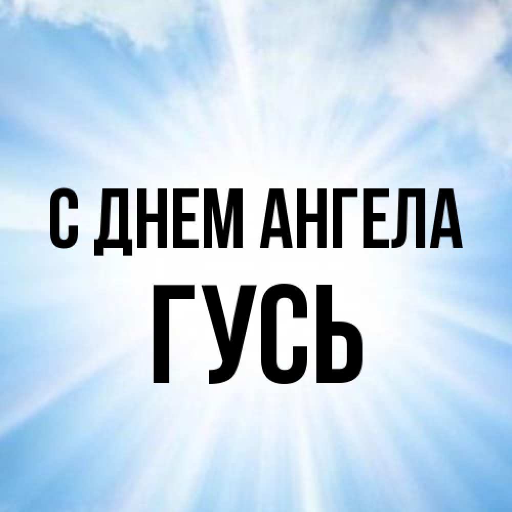 Открытка на каждый день с именем, Гусь С днем ангела свет небесный Прикольная открытка с пожеланием онлайн скачать бесплатно 