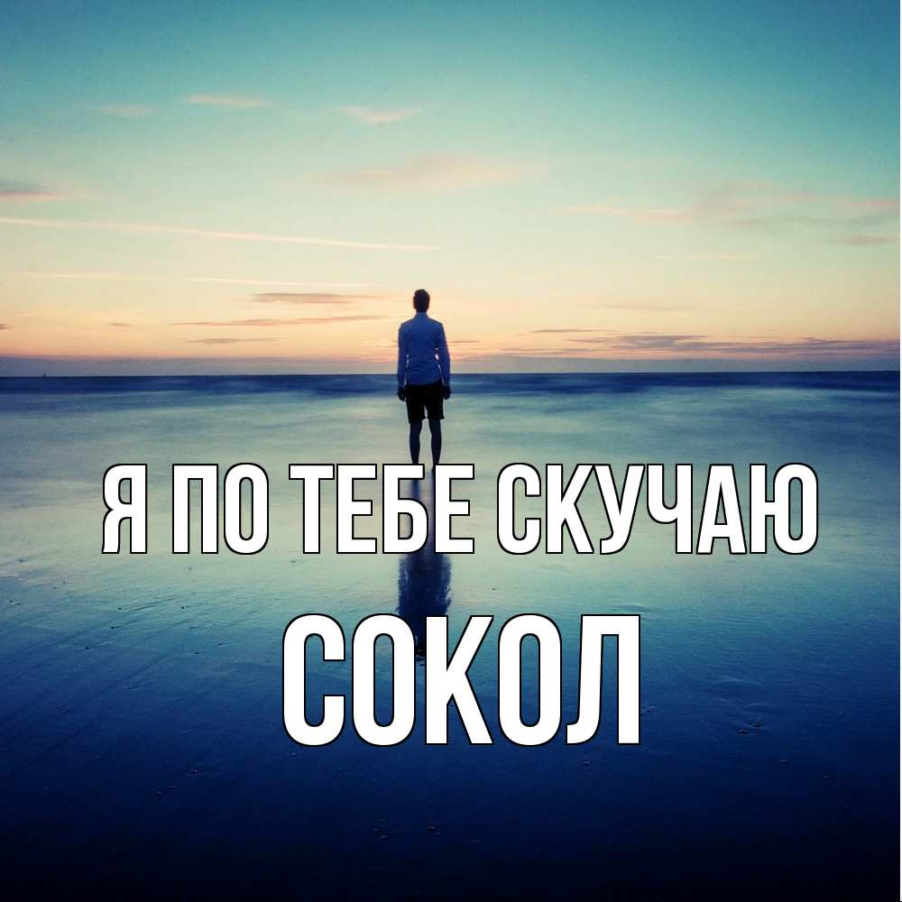 Открытка на каждый день с именем, Сокол Я по тебе скучаю зима Прикольная открытка с пожеланием онлайн скачать бесплатно 