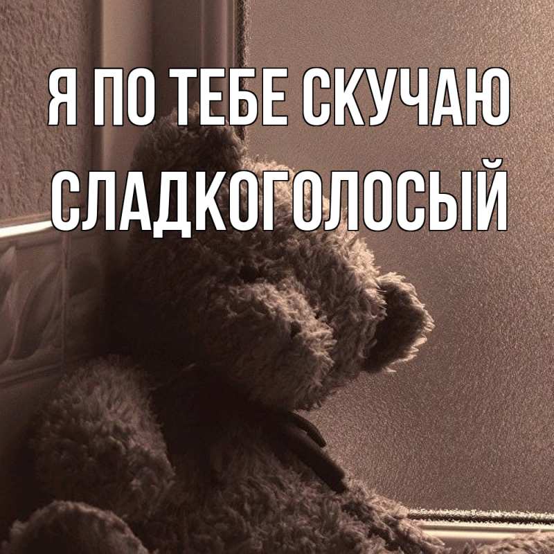 Картинка Я по тебе скучаю, Сладкоголосый