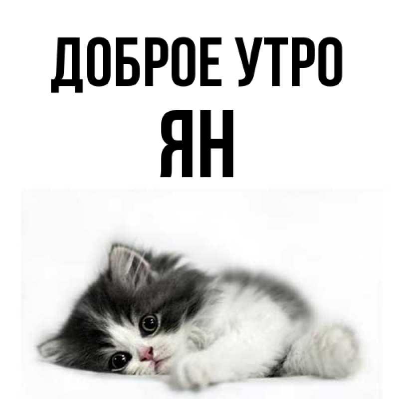 Картинка Доброе утро, Ян