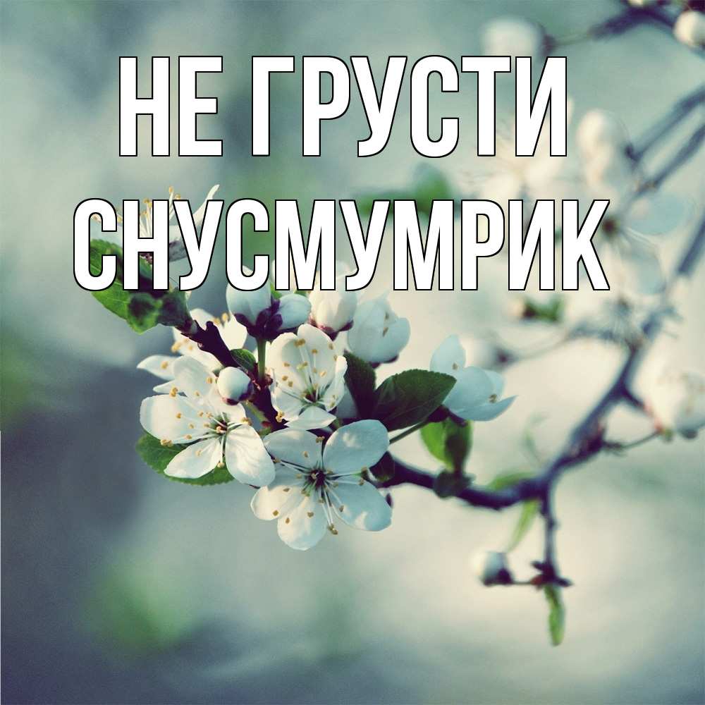 Открытка на каждый день с именем, Снусмумрик Не грусти яблоня в цвету 1 Прикольная открытка с пожеланием онлайн скачать бесплатно 