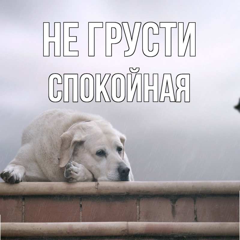 Картинка Не грусти, спокойная