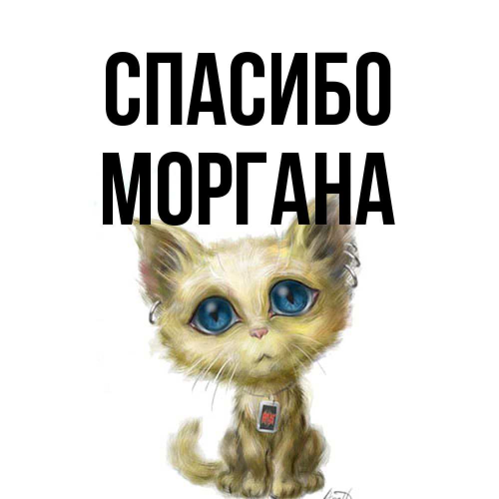 Открытка на каждый день с именем, Моргана Спасибо рисованный кот благодарит вас Прикольная открытка с пожеланием онлайн скачать бесплатно 