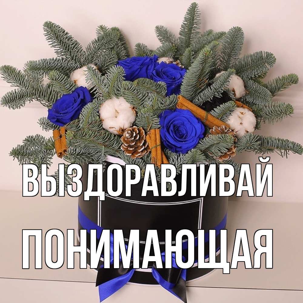 Открытка на каждый день с именем, Понимающая Выздоравливай короче кто то загрузил эти шишки Прикольная открытка с пожеланием онлайн скачать бесплатно 