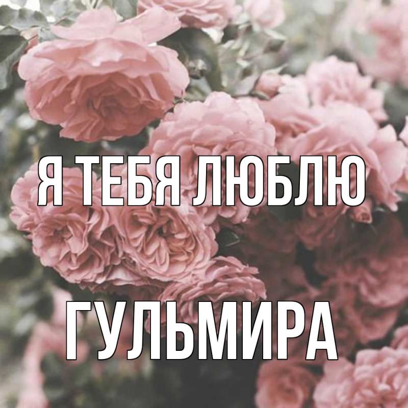 Картинка Я тебя люблю, Гульмира