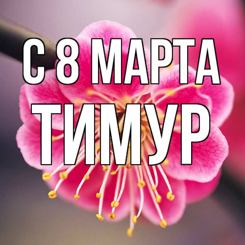 Картинка C 8 МАРТА, Тимур