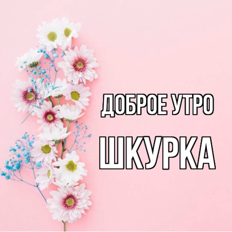 Картинка Доброе утро, Шкурка