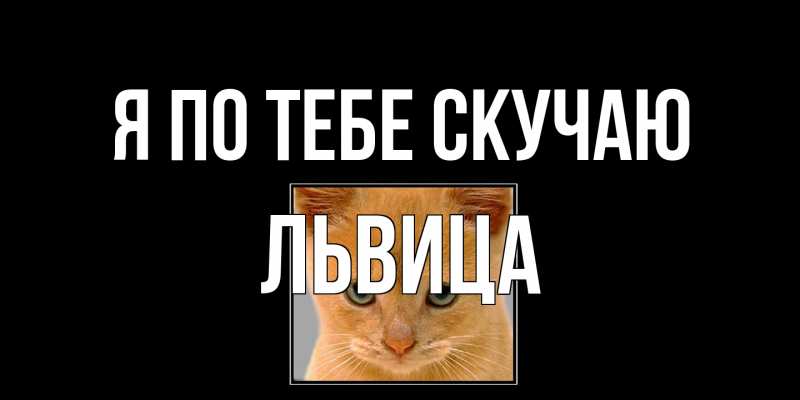 Картинка Я по тебе скучаю, Львица