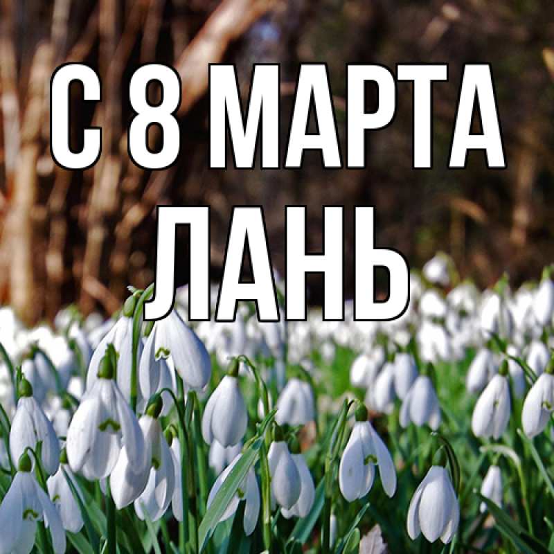 Картинка C 8 МАРТА, лань