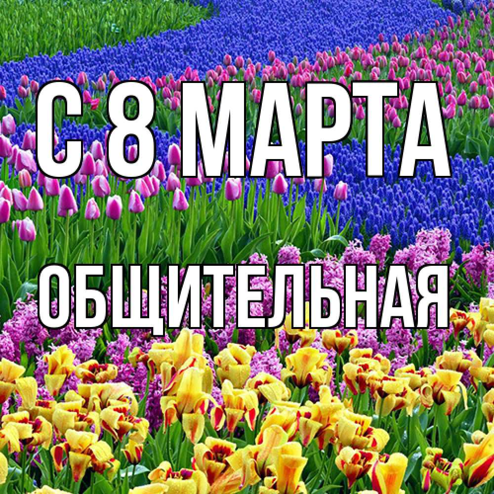 Открытка на каждый день с именем, Общительная C 8 МАРТА цветы Прикольная открытка с пожеланием онлайн скачать бесплатно 