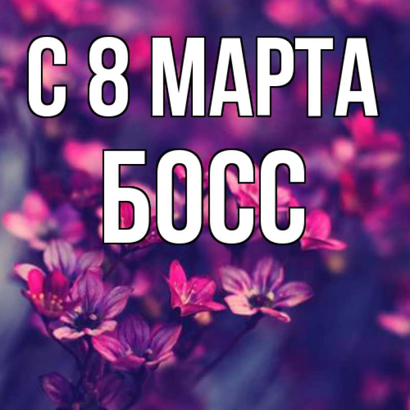 Картинка C 8 МАРТА, Босс