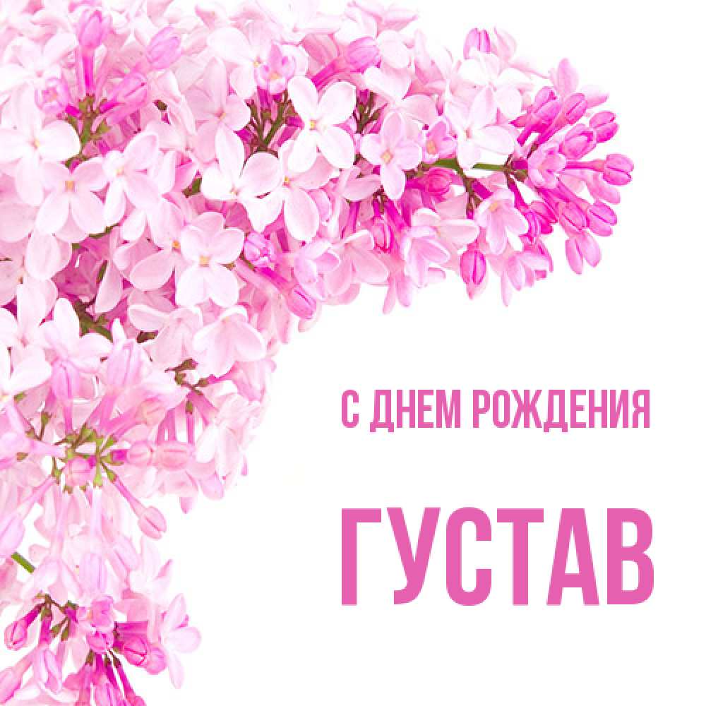 Открытка на каждый день с именем, Густав С днем рождения Сирень на белом фоне Прикольная открытка с пожеланием онлайн скачать бесплатно 