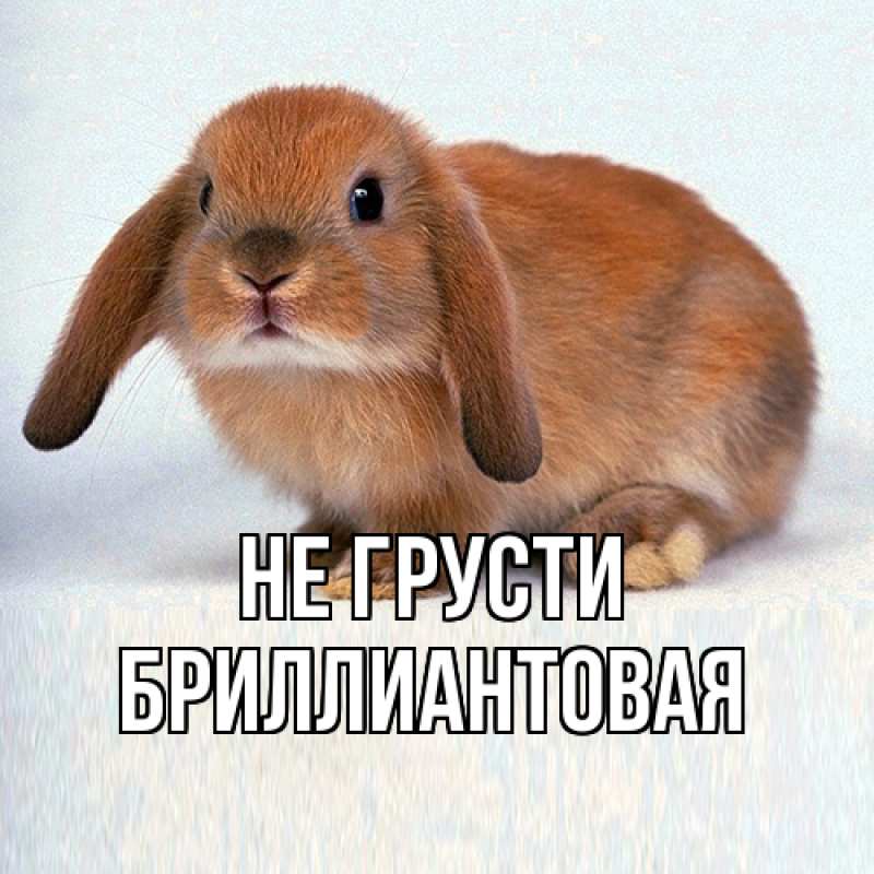 Картинка Не грусти, Бриллиантовая