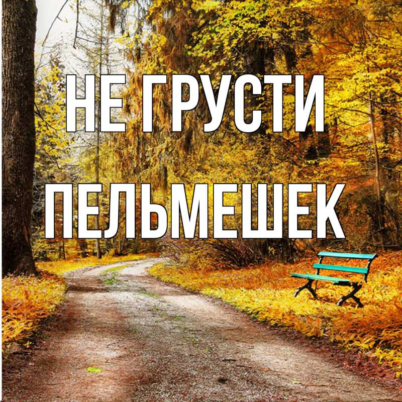 Картинка Не грусти, пельмешек