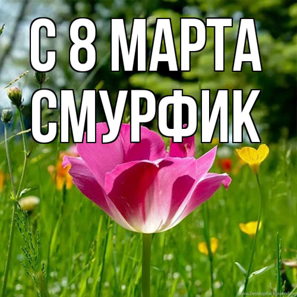 Открытка на каждый день с именем, Смурфик C 8 МАРТА полевые цветы Прикольная открытка с пожеланием онлайн скачать бесплатно 