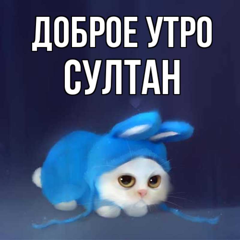Картинка Доброе утро, Султан