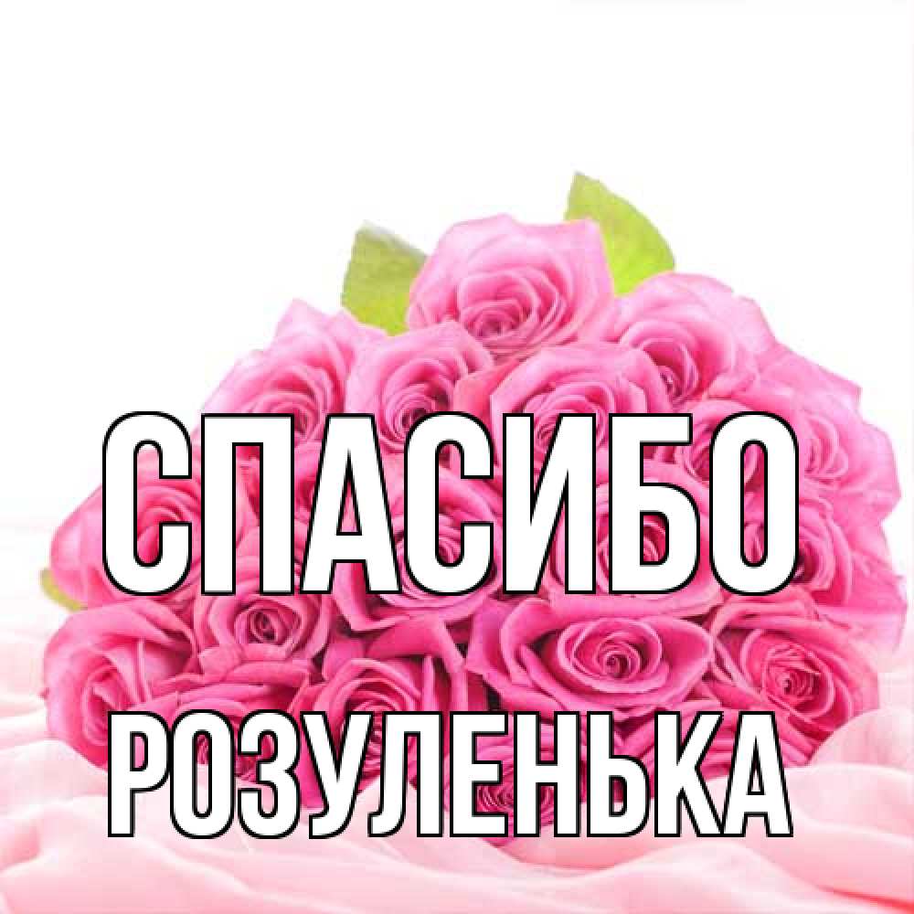 Открытка на каждый день с именем, Розуленька Спасибо розовые розы с подписью Прикольная открытка с пожеланием онлайн скачать бесплатно 