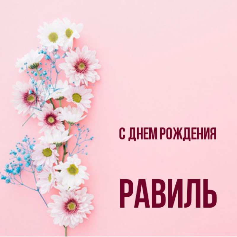 Картинка С днем рождения, Равиль