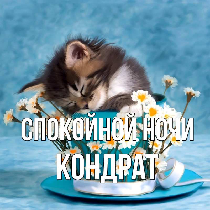 Картинка Спокойной ночи, Кондрат