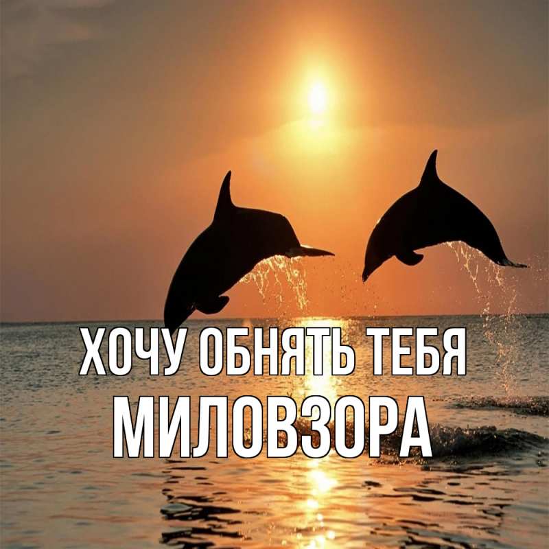 Картинка Хочу обнять тебя, Миловзоpа