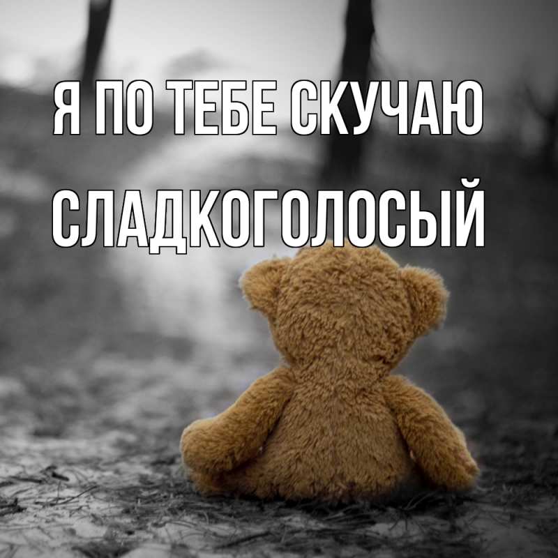 Картинка Я по тебе скучаю, Сладкоголосый