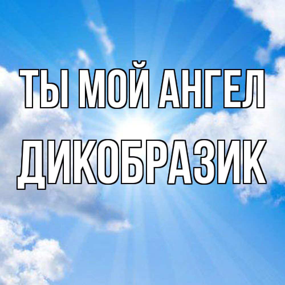 Открытка на каждый день с именем, дикобразик Ты мой ангел лучики ангельского света с неба Прикольная открытка с пожеланием онлайн скачать бесплатно 