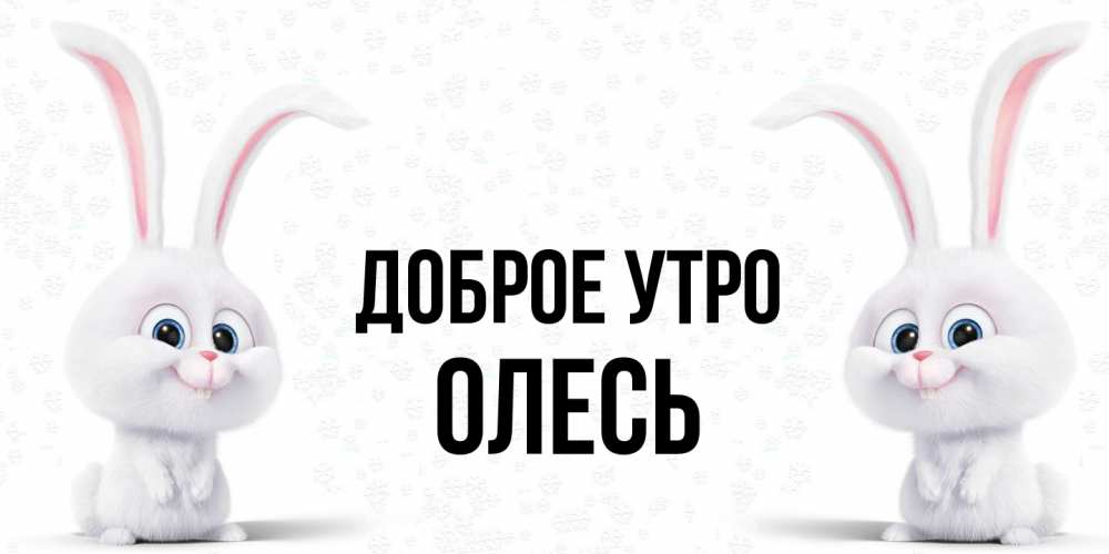 Открытка на каждый день с именем, Олесь Доброе утро кролики с длинными ушками Прикольная открытка с пожеланием онлайн скачать бесплатно 