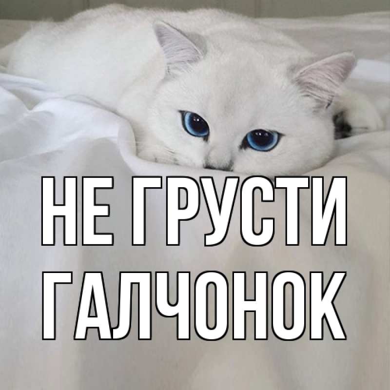 Открытка с именем, галчонок, Не грусти