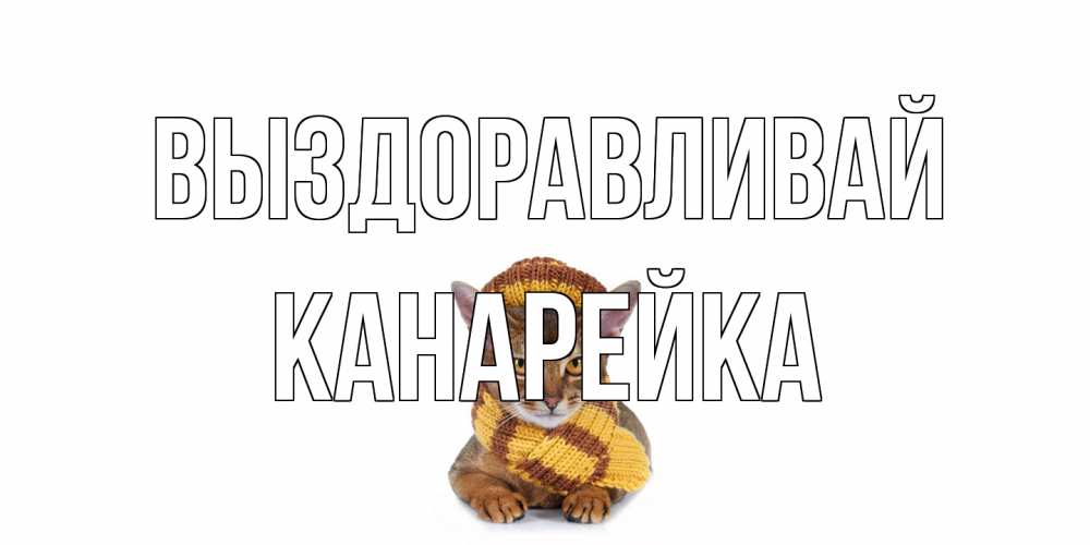 Открытка на каждый день с именем, Канарейка Выздоравливай родные не болейте Прикольная открытка с пожеланием онлайн скачать бесплатно 