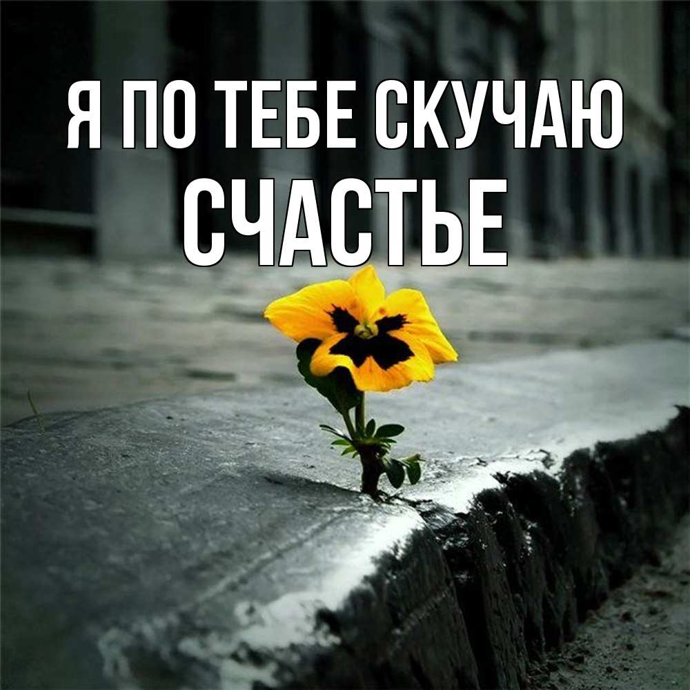 Открытка на каждый день с именем, счастье Я по тебе скучаю надеюсь будет лучше Прикольная открытка с пожеланием онлайн скачать бесплатно 