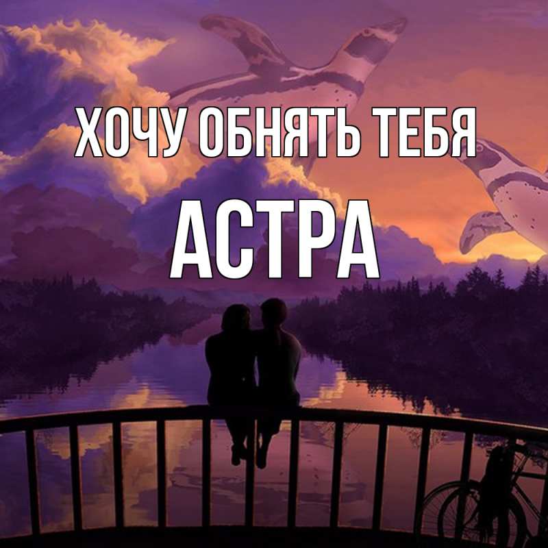Картинка Хочу обнять тебя, Астра