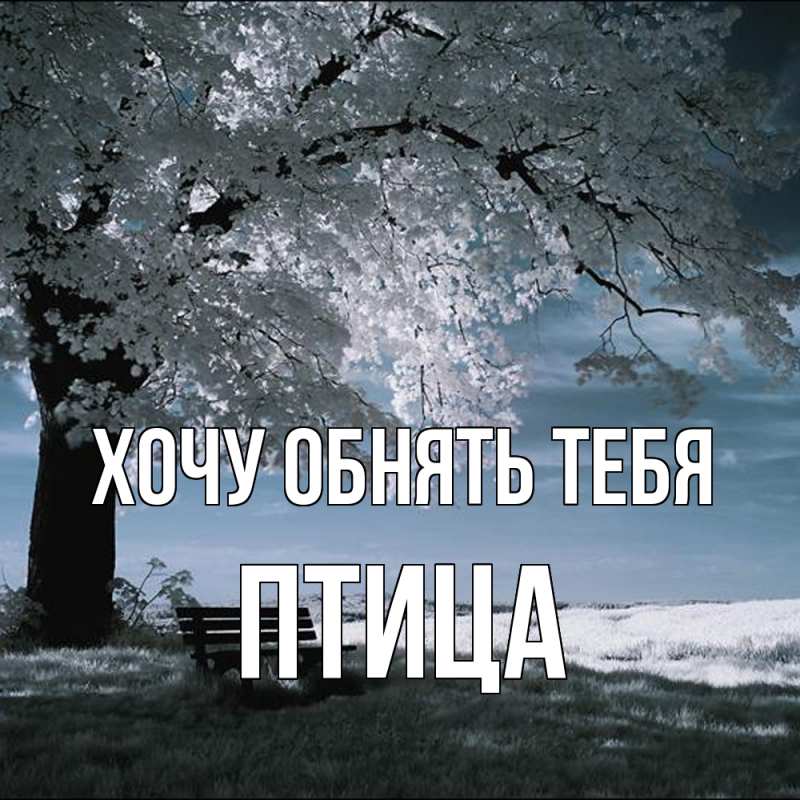 Картинка Хочу обнять тебя, Птица