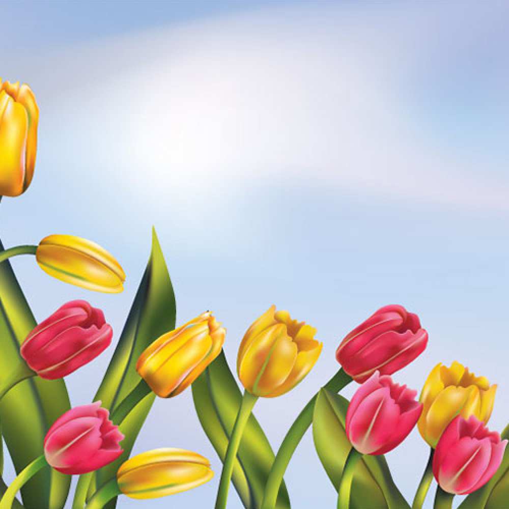 Открытка на каждый день с именем, Фишка C 8 МАРТА международный женский день Прикольная открытка с пожеланием онлайн скачать бесплатно 