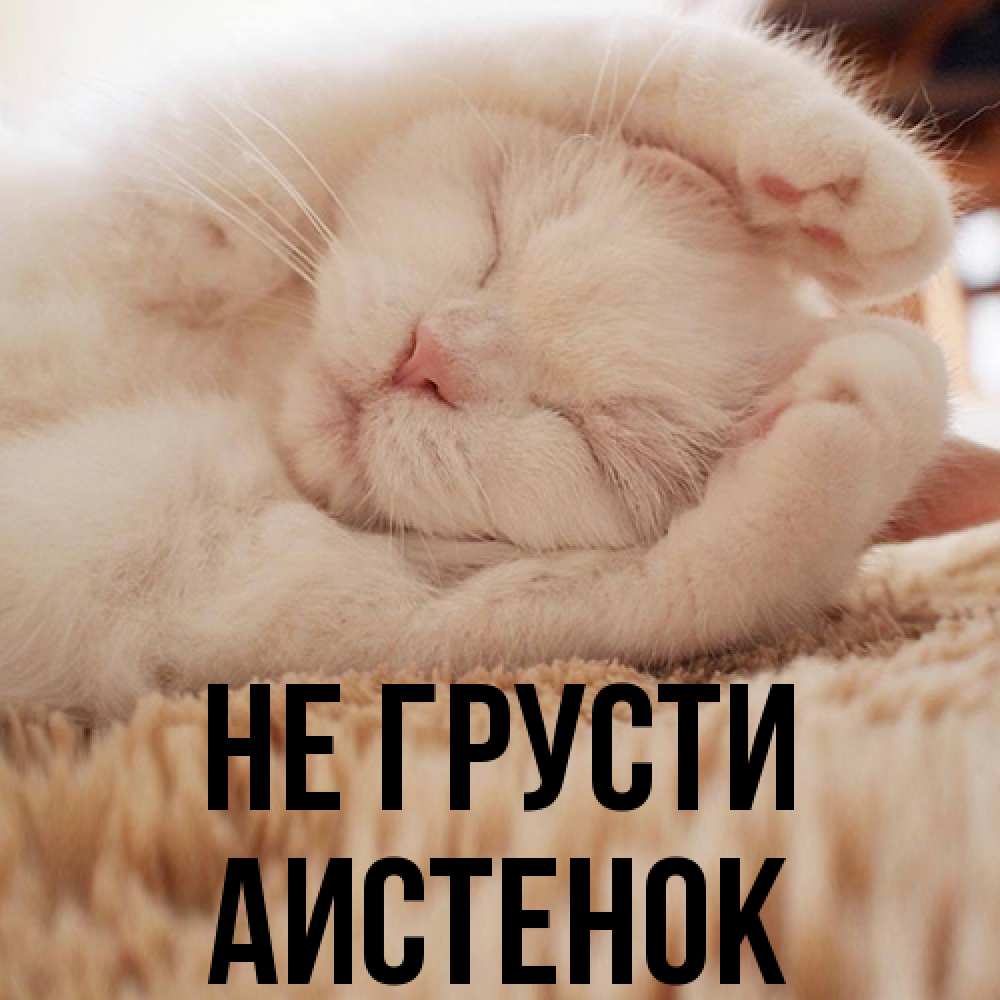 Открытка на каждый день с именем, аистенок Не грусти Котенок спит Прикольная открытка с пожеланием онлайн скачать бесплатно 