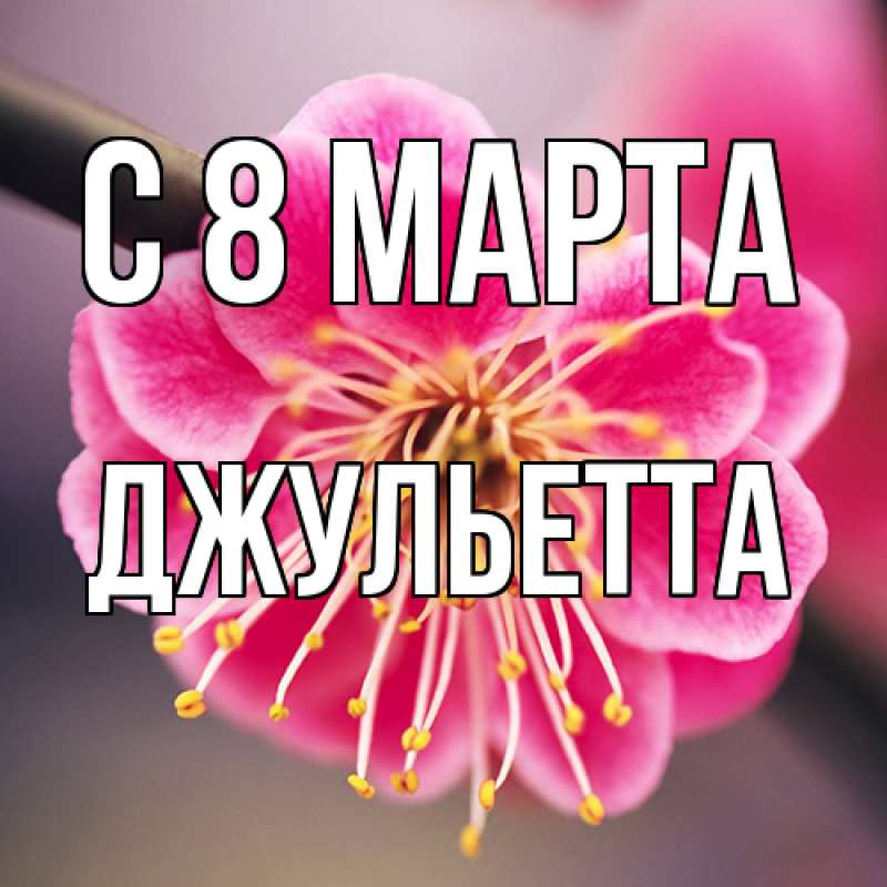 Картинка C 8 МАРТА, Джульетта