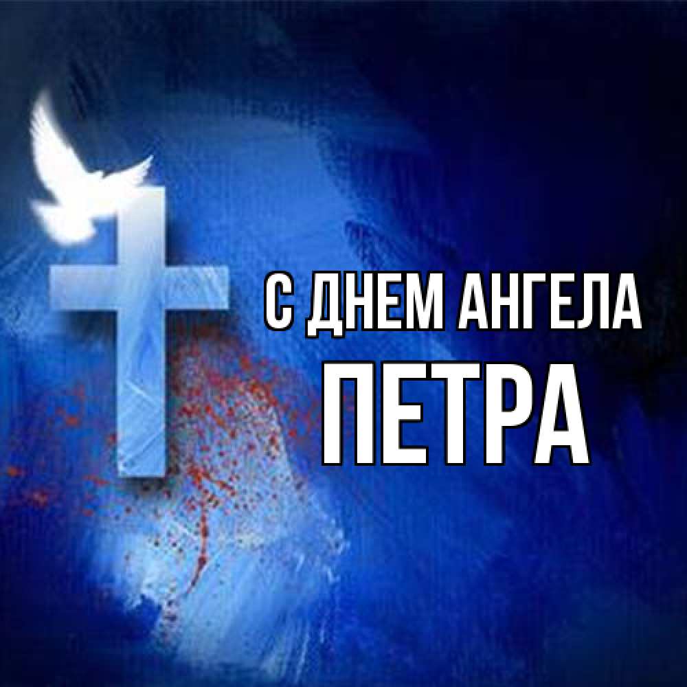 Открытка на каждый день с именем, Петра С днем ангела Синий фон и птица Прикольная открытка с пожеланием онлайн скачать бесплатно 