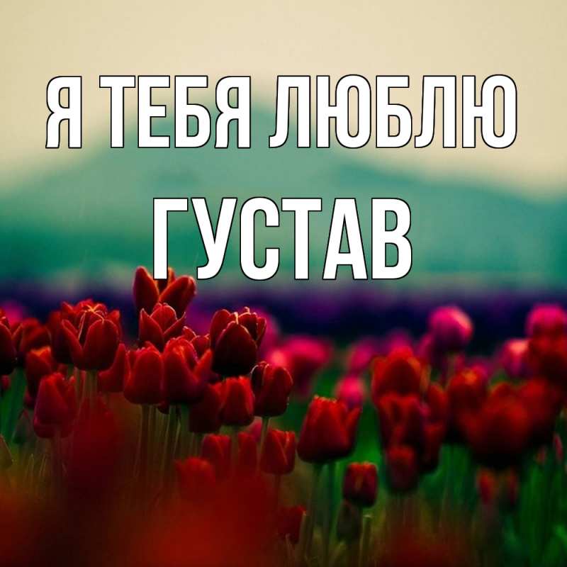 Картинка Я тебя люблю, Густав