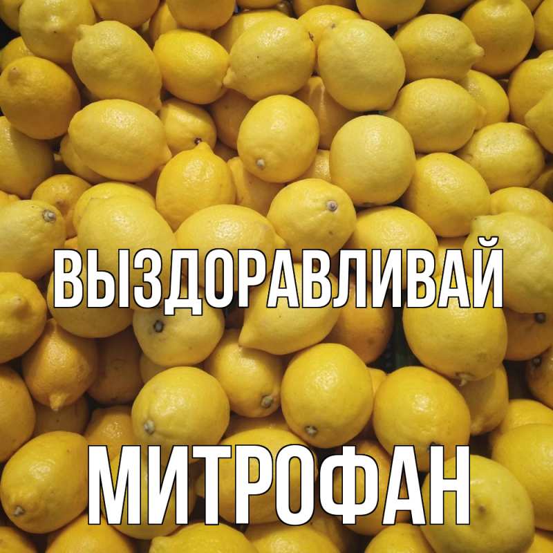 Картинка Выздоравливай, Митрофан