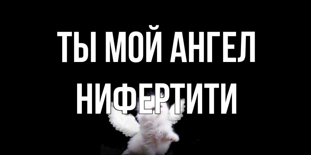 Открытка на каждый день с именем, Нифертити Ты мой ангел Кот ангел Прикольная открытка с пожеланием онлайн скачать бесплатно 