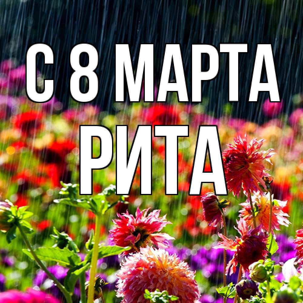 Открытка на каждый день с именем, Рита C 8 МАРТА цветы под дождиком к международному женскому дню Прикольная открытка с пожеланием онлайн скачать бесплатно 