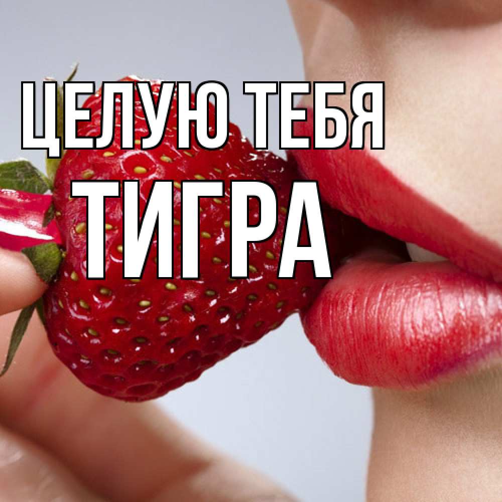 Открытка на каждый день с именем, Тигра Целую тебя губки держат клубничку Прикольная открытка с пожеланием онлайн скачать бесплатно 