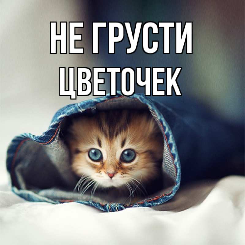 Картинка Не грусти, Цветочек