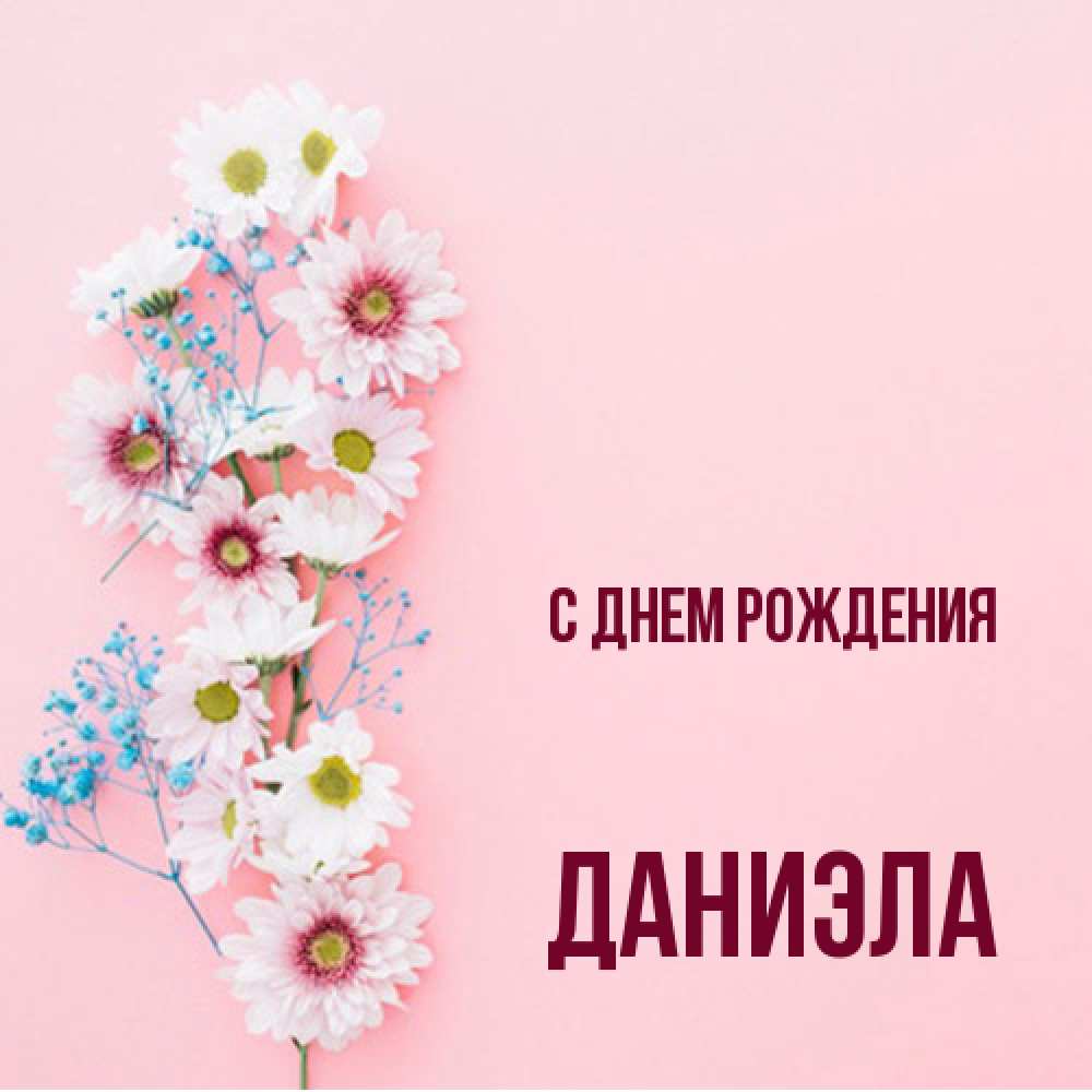 Открытка на каждый день с именем, Даниэла С днем рождения Родная моя с днем рождения тебя картинка с цветами белыми и голубыми Прикольная открытка с пожеланием онлайн скачать бесплатно 