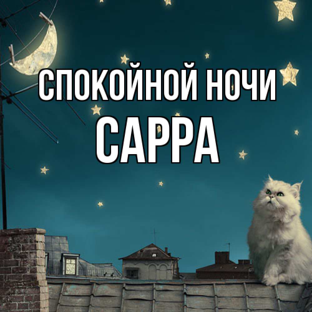 Открытка на каждый день с именем, Сарра Спокойной ночи белый кот сидит на крыше Прикольная открытка с пожеланием онлайн скачать бесплатно 