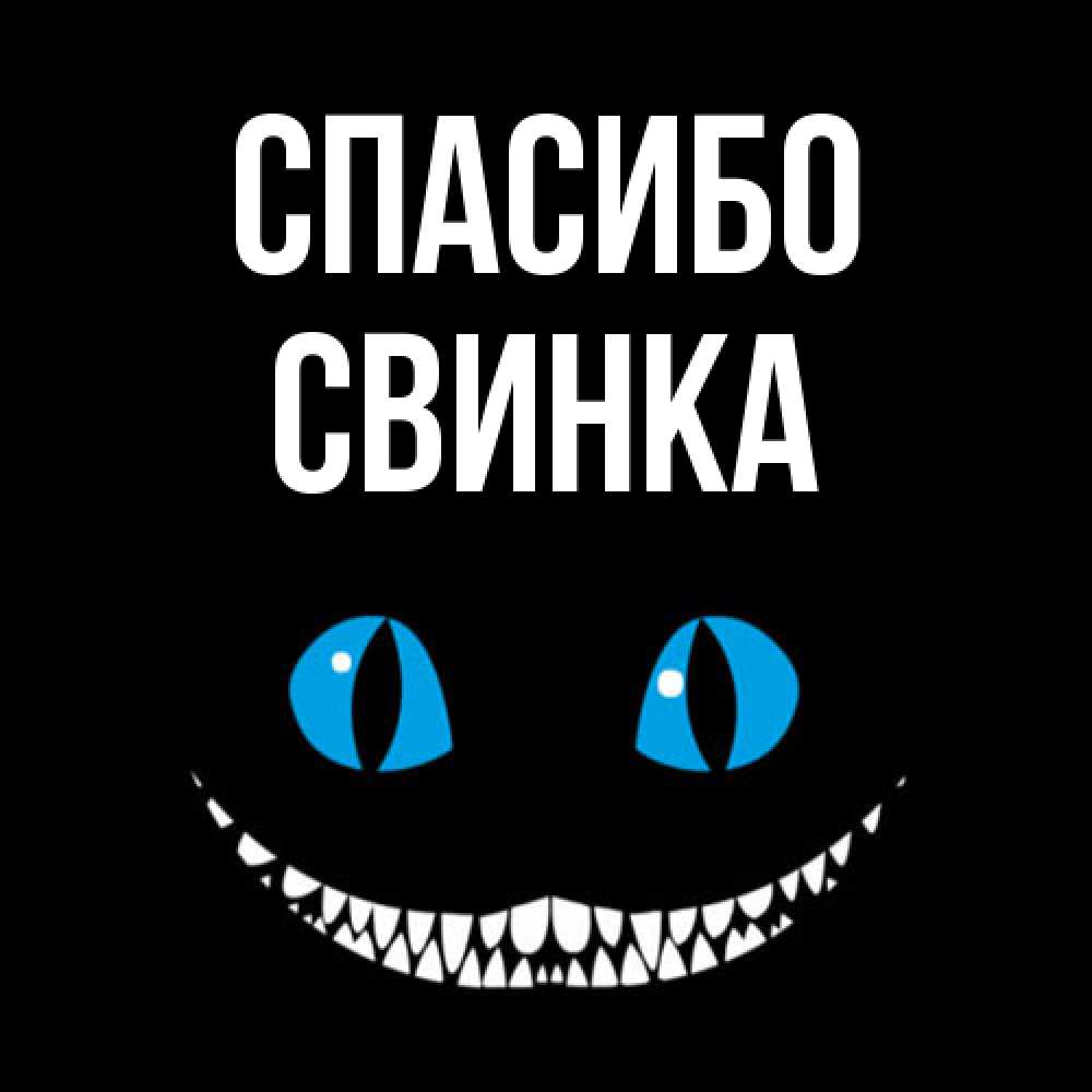 Открытка на каждый день с именем, Свинка Спасибо благодарю от чеширика Прикольная открытка с пожеланием онлайн скачать бесплатно 