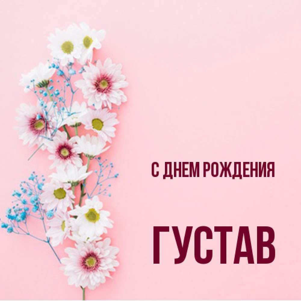 Открытка на каждый день с именем, Густав С днем рождения Родная моя с днем рождения тебя картинка с цветами белыми и голубыми Прикольная открытка с пожеланием онлайн скачать бесплатно 