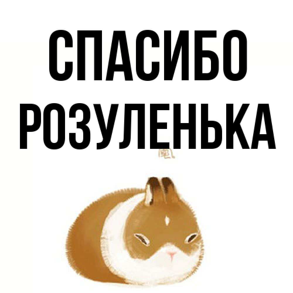 Открытка на каждый день с именем, Розуленька Спасибо коричнево белый домашний питомец Прикольная открытка с пожеланием онлайн скачать бесплатно 